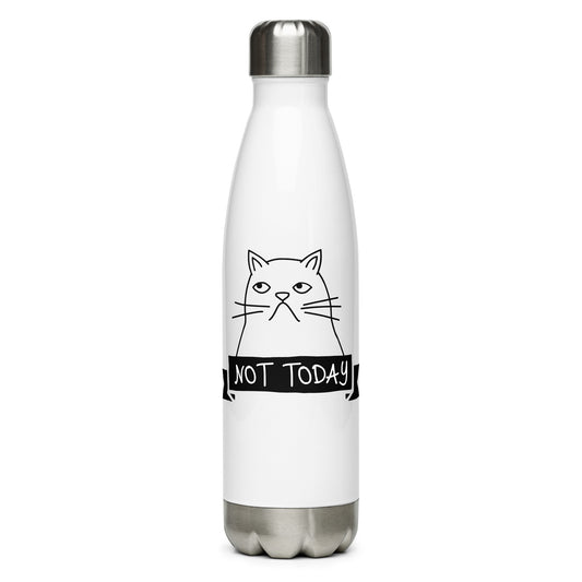 Stainless steel water bottle