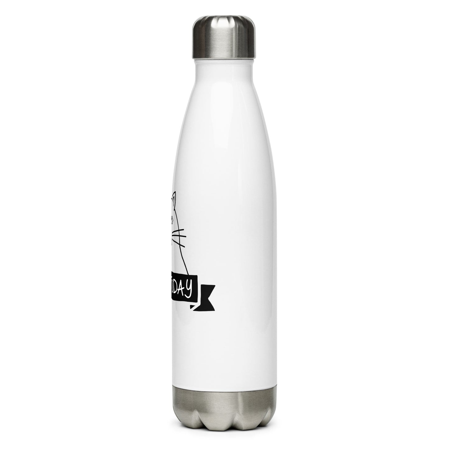 Stainless steel water bottle